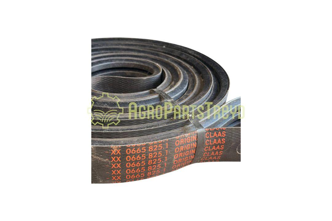 product-image-6658251.jpg